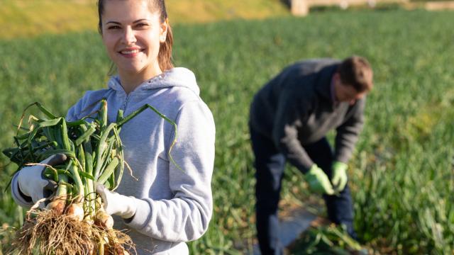 Dotation Jeune agriculteur